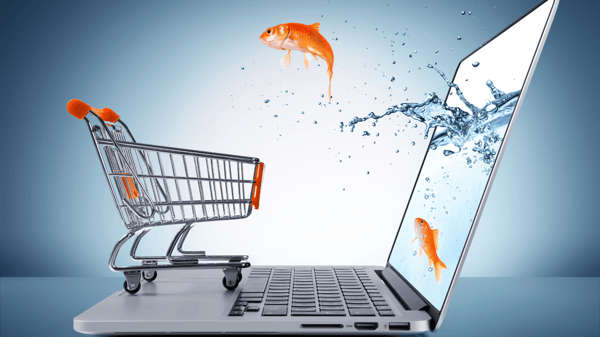 Winning at E-commerce: Tips for Small Retailers