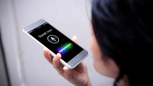 The Rise of Voice Search: Adapting Your SEO Strategy for 2024